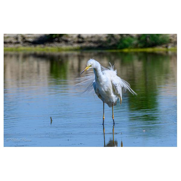 PHOTO84, CLUB, 84 , LUBERON